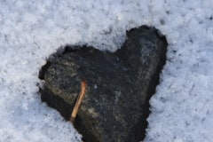 [:en]Hearts[:de]Herzen