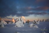 die-ersten-sonnenstrahlen-im-neuen-jahr-in-lappland-begleiten-den-untergehenden-mond