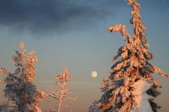 [:en]Lapland[:de]Lappland