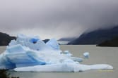 lago-grey-wildes-patagonien