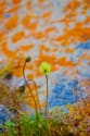dscf9797