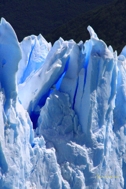 Eure Majestät - Perito Moreno-Gletscher, Patagonien -