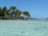 [:en]French-Polynesian[:de]Französisch Polynesien