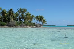 [:en]French-Polynesian[:de]Französisch Polynesien