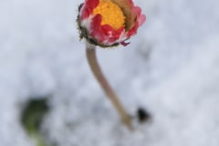 [:en]Seasons[:de]Jahreszeiten