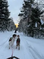 norwegen-fotos-137