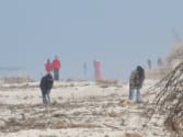 bernsteinsucher-an-der-ostsee