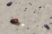img_9746a