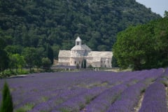 Provence, Frankreich