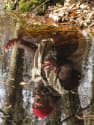 spiegel_wasser