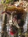 spiegel_wasser