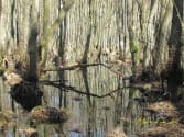 spiegel_wasserlandschaft