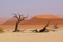 Namibia