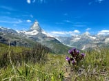 Zermatt, Wallis, Schweiz