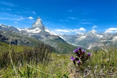 Zermatt, Wallis, Schweiz